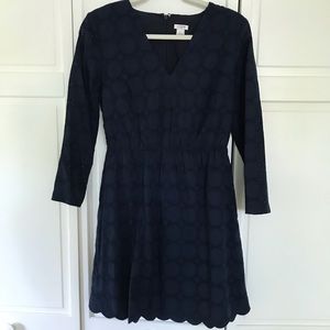 J Crew v-neck lace dress